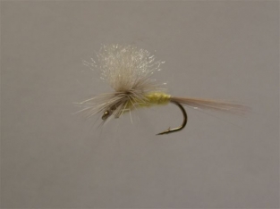 Size 12 Pale morning white Parachute